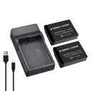 【USB充電器と電池2個】CANON キャノン LP-E17 互換 バッテリーパック EOS RP / Kiss X9i / Kiss X10i 対応