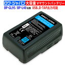 Vマウント カムコーダー用 BP-L40 BP-L60 BP-L80S BP-L90 BP-GL95 互換バッテリー Vバッテリー ビデオカメラ 撮影ライト モニター用 業務用 長時間動画収録可能 SONY対応 ソニー対応 ロワジャパン PSE基準検品 LG対応セル