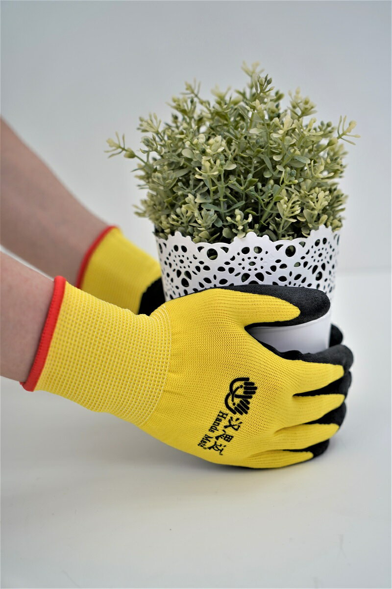 ����ȡ���ݼ��� 3�Хѥå�(��/��/��) L������ 13������ 40%�ݥꥨ���ƥ�/60%�˥ȥ��