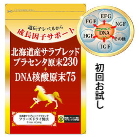 【価格完全保証】北海道サラブレッドプラセンタ原末220/70%off【プラセンタ サプリ】【馬プラセンタ】【プラセンタ】【プラセンタ 馬 サプリ】【馬プラセンタ サプリメント】【馬プラセンタ】【更年期】 女性ホルモン 疲れ　美肌　老対策のサムネイル