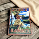【訳アリSALE品・メール便送料無料】ハワイアン壁掛け看板/Alohaハワイ