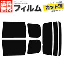 カーフィルム カット済み リアセット エクストレイル T30 TA30 NT30 PNT30 スモークフィルム