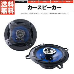 https://thumbnail.image.rakuten.co.jp/@0_mall/royal-japan/cabinet/main/rcarspeaker-pl-1348.jpg