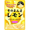 ライオン菓子 そのまんまレモン 25g ×6個【賞味期限:2026年1月】