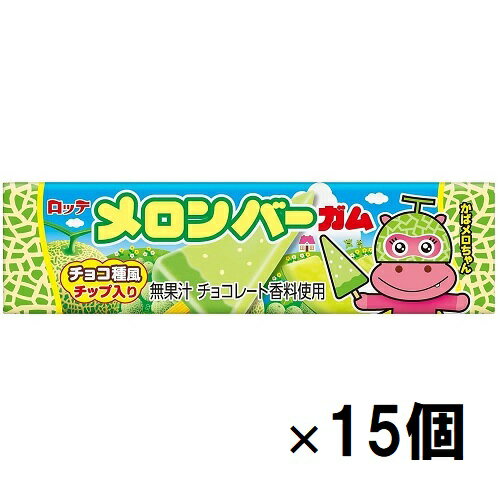 ロッテ メロンバーガム 9枚×15個 1