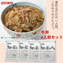 丸美屋 レトルト牛丼(業務用)4人前セット