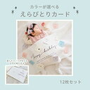 【記念台紙付き!選び取りカード】カラー3種 13枚セット 出産祝い 内祝い 誕生日祝い 1歳誕生日 お祝い ギフト 赤ちゃん くすみカラー 記念台紙 選び取り ファーストバースデー 昼寝アート 寝相アート おしゃれ 占い 記念日 メモリアル ロイヤルぺぺ