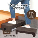 踏み台 ステップ どこでもステップ ロータイプ ワイド STYLE+ 高さ14cm 広い 滑りにくい 滑り止め ざらざら 安心 安定感 玄関 キッチン 庭 子供...
