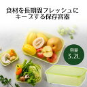 保存容器 鮮度長持ち 3.2L ロック&ロック | キープフレッシュ 密閉 野菜 鮮度キープ 鮮度保持 葉物野菜 鮮度 新鮮 長持ち 保存容器 保存 ストッカー...