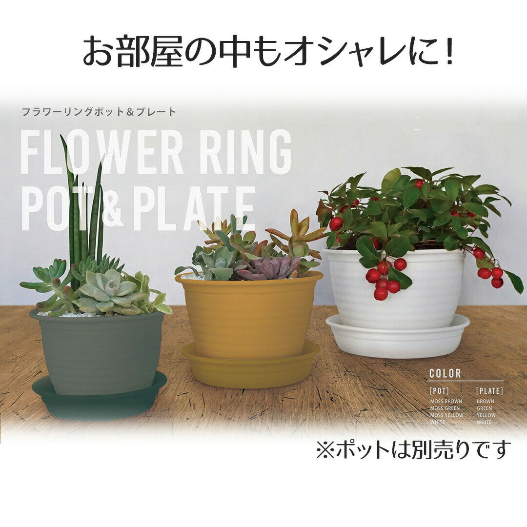 フラワーリングポット プレート4号 ベストコ  受け皿 鉢皿 受皿 プレート 鉢受け皿 水受け ソーサー 植木鉢用皿 植木鉢用 プラスチック 丸 4号鉢用 プラ鉢 花
