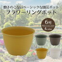 フラワーリングポット 6号 ベストコ | プランター サイズ ガーデンポット ポット 鉢 植木鉢 プランター 植物用ポット プラスチック 6号鉢 ガーデン用品 ...