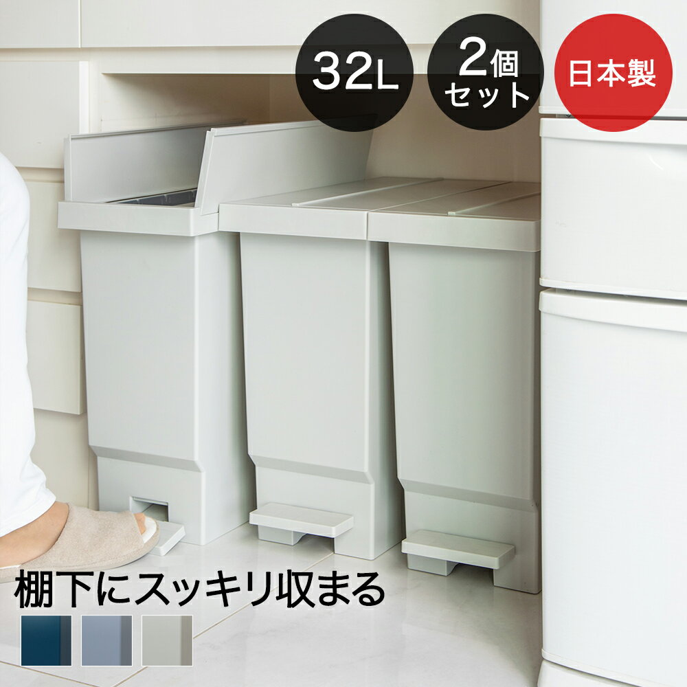 【 期間 限定価格 ★ 4％OFF 】バタフライ ペダルペール 2個セット 両開き ゴミ箱 32L 平和工業 日本製 45L袋対応 スリム ごみ箱 ダストボックス ゴミ入れ トラッシュカン ごみばこ ペダル キッチンカウンター コンパクト キッチン 分別 おしゃれ 蓋つきゴミ箱 台所 足踏み