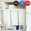 バタフライ ペダルペール 2個セット 両開き ゴミ箱 32L 平和工業 日本製 45L袋対応 スリム ごみ箱 ダストボックス ゴミ入れ トラッシュカン ごみばこ ペダル キッチンカウンター コンパクト キッチン 分別 おしゃれ 蓋つきゴミ箱 台所 模様替え 足踏み ペール 省スペース