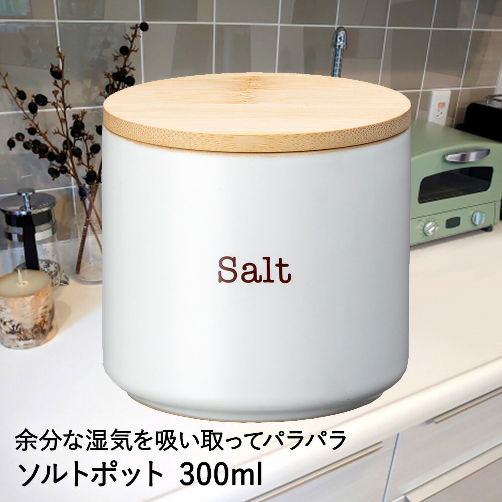 デリッシュライフ ソルトポット 300ml 4350 イシガキ産業 | ソルト ポット 塩 塩入れ ソルトケース 塩ケース 陶器 容器 保存 保存容器 キッチン雑貨 調味料ケース キャニスター 収納 プレゼント ギフト 調味料入れ 調味料ポット ドライポット 調味料収納 保管 キッチン収納