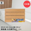 木目すのこ ミニ 40×60×3cm 日本製 74210 オーエ | 風呂 すのこ スノコ お風呂 浴室 木目スノコ 滑り止め 樹脂製 抗菌 防カビ カビ 浴室用 木目 木目調 清潔 バスマット おしゃれ 浴室の床マット マット 風呂グッズ バスルーム コンパクト 防かび 浴室マット すべり止め