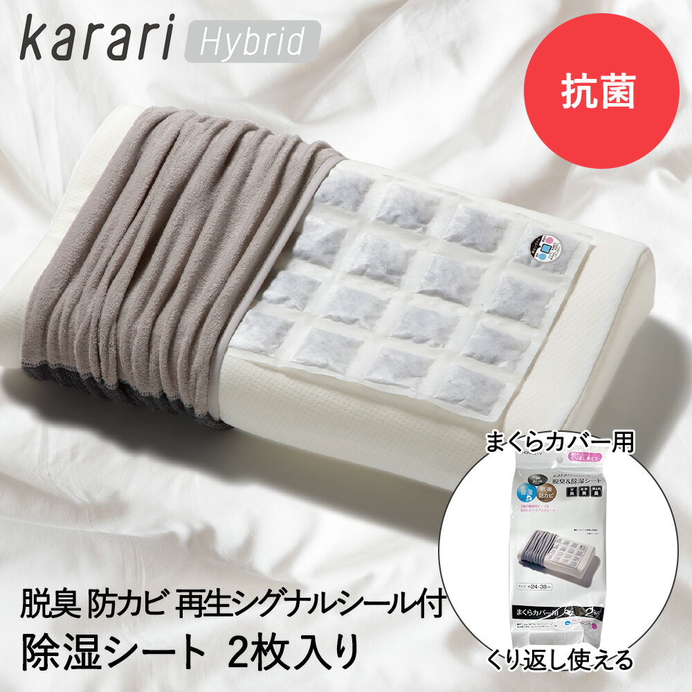 脱臭 除湿 シート まくらカバー 用 2枚入 karari ハイブリッド HO2138 アネスティ 除湿シート 脱臭シート 除湿マット 枕 まくら 枕用 寝具 寝具用 臭い 加齢臭 押入 収納 布団収納 湿気対策 湿気 抗菌 吸湿 除湿剤 消臭 炭 寝汗 湿気取り カビ 乾燥 カビ防止 臭い取り