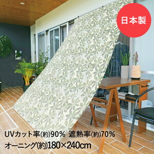 󥷥 褱 ˥ ꡼ 180cm240cm OLG-1824 ¥ӥ  |   ͤ  Ǯ ׸ UVå 糰 Х륳ˡ ٥ ܱ  ǥ  뤵к 褱  к å 