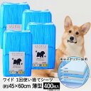 使い捨て お徳用 ペットシーツ 薄型 ワイド 45×60cm 400枚 TA223-531-003 スリーアローズ | ペットシート ペット シーツ シート ペットシーツワイド 小型犬 中型犬 小型 中型 トイレシーツ おしっこシート ペット用シーツ 犬 コンパクト 大容量 まとめ買い トイレシート