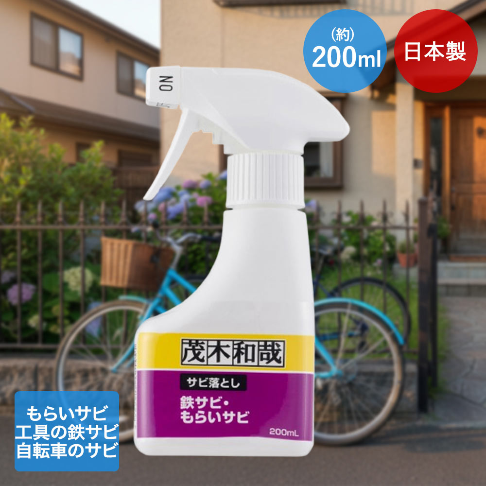 【 ポイント20倍 3/8(日)00:00～3/8(日)23:59まで 】 レック サビ取りスプレー 茂木和哉 200ml C00256 | 茂木 もてぎかずや サビ落とし スプレー 汚れ落とし 強力 錆 落とす 錆落とし 自転車 傘立て ヘアピン もらいサビ 工具 手入れ 液体 溶解 洗浄