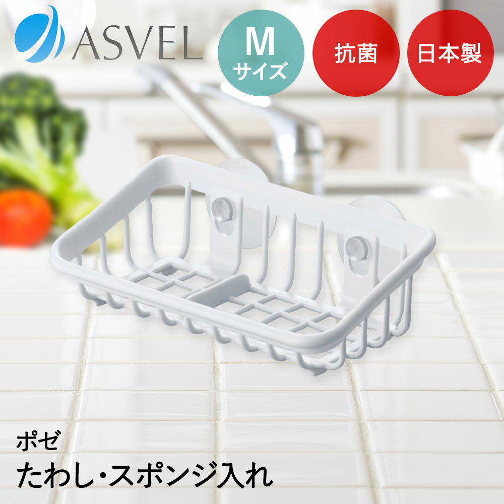 樂天商城 - アスベル たわし入れ | ASVEL Nポゼ 抗菌 スポンジ ホルダー キッチン用品 台所用品 料理 水回り 便利 家事 シンプル 白 スポンジ置き 吸盤 キッチン