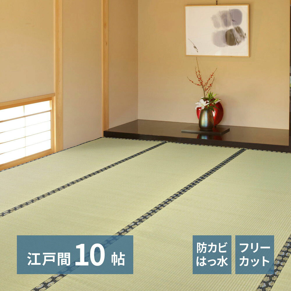 樂天商城 - フリーカット 裏付き い草 カーペット みすず 江戸間 10畳 352×440cm 萩原 | 上敷き 10帖 御座 イグサ 防臭 抗カビ 和室 双目織り 軽量 子供 タンス たたみ 保護 和風 夏 い草マット 畳 マット ラグ フロー