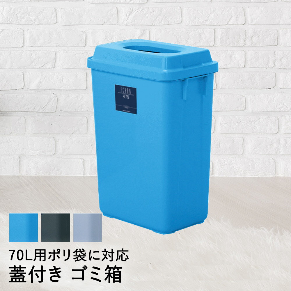 【 法人限定 】 ゴミ箱 ふた付き 70L シャン 475 エコ DS-218-347 TERAMOTO テラモト | ごみ箱 蓋付き ふた フタ 蓋 ペール ダストボックス 分別 70リットル 袋 屑入れ くず入れ ゴミ入れ 屑箱 縦型 シンプル おしゃれ オフィス 会社 事務所 給湯室 大型 大きい 業務用 屋内