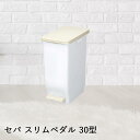 【 法人限定 】 銀イオンAg+ 抗菌加工 セパ スリムペダル 30型 30L 組立式 DS-240-630-0 TERAMOTO テラモト | ごみ箱 ゴミ箱 ペダル ごみばこ ペダル式ゴミ箱 ペダル式 ゴミ入れ ごみ入れ おしゃれ ダストボックス ペダル式 四角 ふた付き 蓋つき インテリア キッチン雑貨(3)