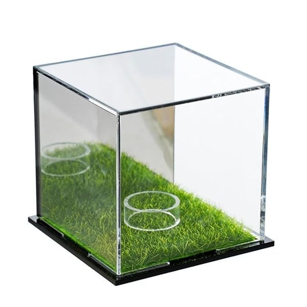 サインボールケース 野球ボールケース 人工芝付き アクリル製 クリア 展示 防塵 防水 変色防止 積み重..