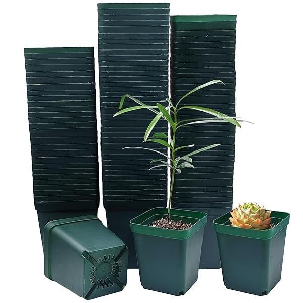 【送料無料】育苗ポット 8cm 100個入り 正方形 苗ポット、植木鉢 プラスチック 多肉植物 鉢、プラ鉢 種蒔きポット、育苗用ポリポット, ダークグリーン