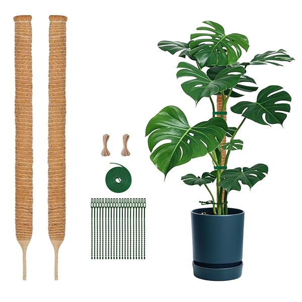【送料無料】園芸 支柱 70cm 2PCS 太め モンステラ支柱 ココスティック DIY曲げる可能 観葉 つる性植物 植物 誘引 ガーデニング 農業用 園芸用