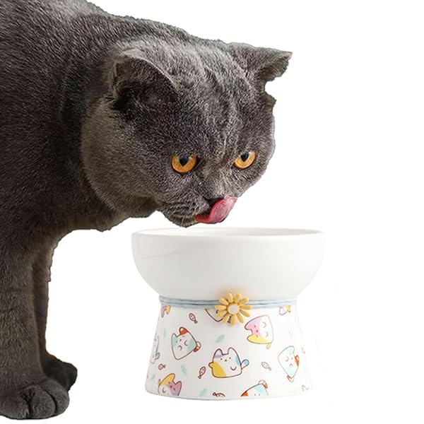 【送料無料】猫用 ご飯皿 えさ皿 餌入れ 顎防止 ウォーターボウル 脊椎ケア 水飲み皿 電子レンジ対応 食洗機対応 ペット用品