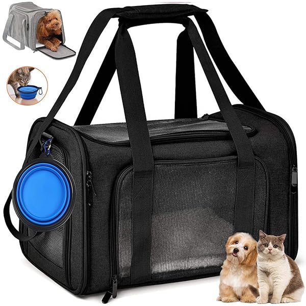 륢2025㤨̵֡ۥڥåȥ꡼ ޤꤿ ǭ ꡼ Хå  桦緿ǭѡ ʤ ֺ/ɥ饤/ԥ/ι/̱/ҳ ޤꤿ Ǽ ѥեȥ졼 ڥåȥ꡼ХåפβǤʤ5,465ߤˤʤޤ