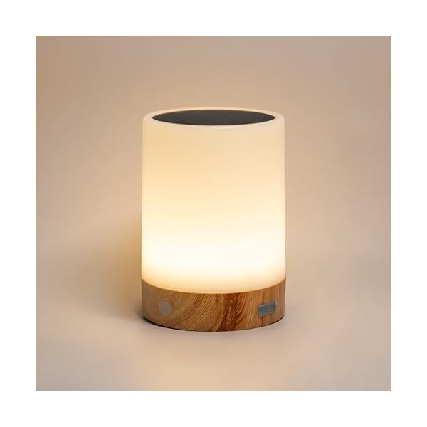 【送料無料】ソーラー&USB充電 ナイトライト 調光3段階 室内外両用 IP65防水