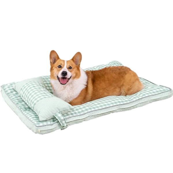 ̵ۥ٥å ڥå å ǭ  å å  İ  ̵ ߤ 곰ǽ   淿 å  ...