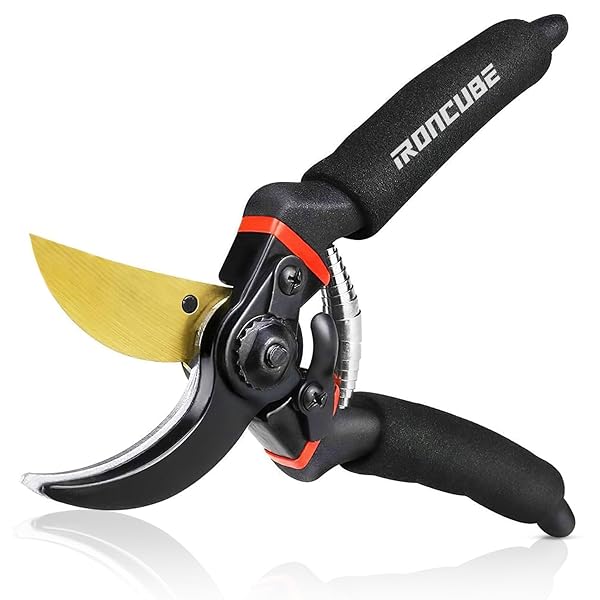 ̵8ΥץեåʥʥץߥХѥФߡȥץ롼ʡǥ󥯥åѡ