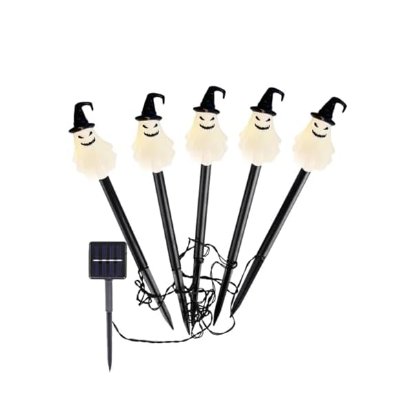 ̵ۤܤ饤 ǥ饤 ϥ 顼饤 5 in 1 ϥ ȥ󥰥饤 ϥ  ߼ ...