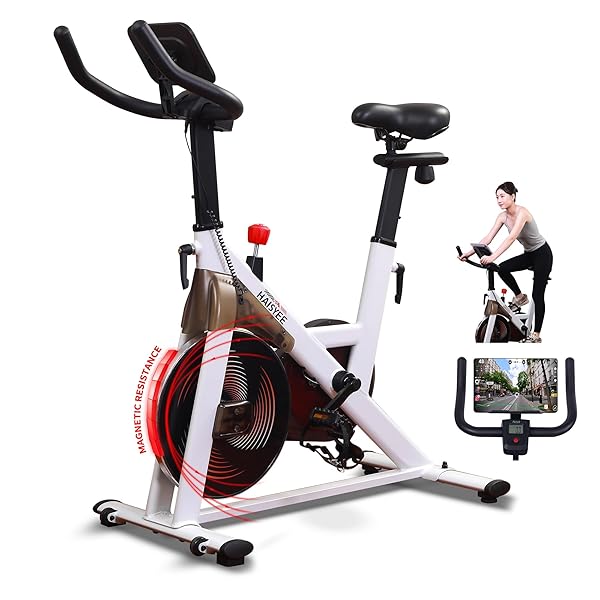 【送料無料】【プロ仕様の安定性】スピンバイク フィットネスバイク ハイエンドモデル アプリ連動 静音 無段階負荷調整 エアロバイク トレーニングバイク ダイエット器具 サドル・ハンドル調節可能 キャスター付き・移動便利 室内バイク 自宅用 オフィス用