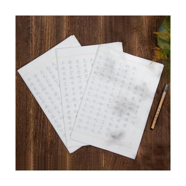 【送料無料】般若心経 写経用紙セット(30枚入り写経紙＋筆ペン) なぞり書き 手本付き 大きいサイズ ...