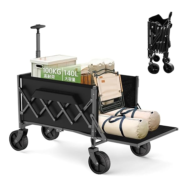 ̵2025оڼΩǼ &Ŵۥ꡼若 Ĺʪб ꡼ ޤ߼ ȥɥ若  Ѳٽ100KG ߥ ...