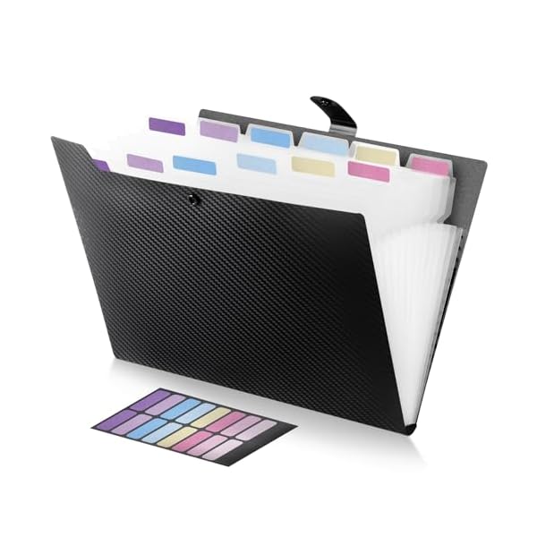 【送料無料】ドキュメントファイル 13ポケット A4 拡張フォルダー スナップ式 ジャバラファイル 区分けラベル付き 防水 分類収納 透明仕切り プリント整理 書類整理ボックス 多機能 書類ケース 軽量 持ち運び可能 (ブラック)