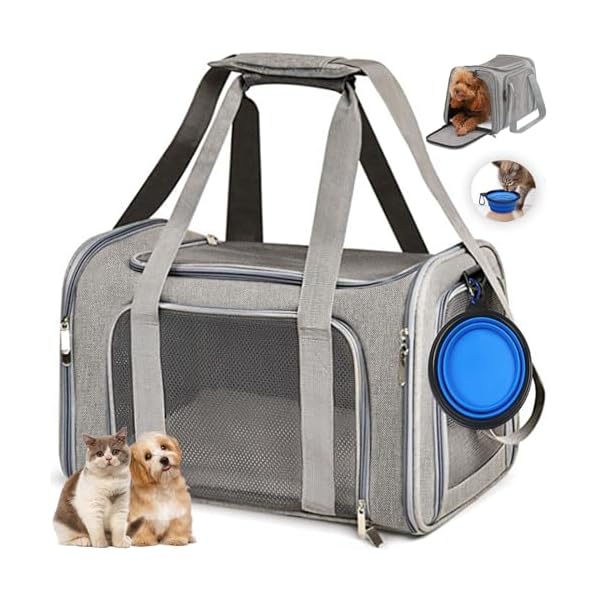 륢2025㤨̵֡ۥڥåȥ꡼ ޤꤿ ǭ ꡼ Хå  桦緿ǭѡ ʤ ֺ/ɥ饤/ԥ/ι/̱/ҳ ޤꤿ Ǽ ѥեȥ졼 ڥåȥ꡼ХåפβǤʤ5,465ߤˤʤޤ