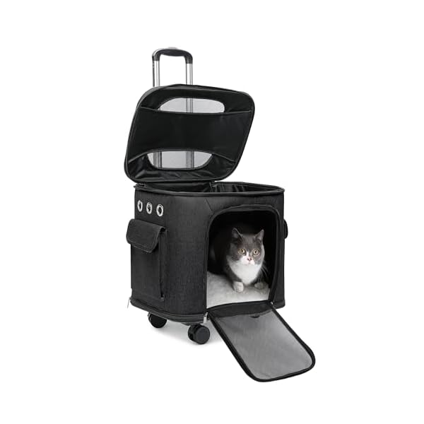 ̵ǭ ꡼ 㥹դ  ꡼ 2way ڥåȥ꡼Хå ѥեȥ졼 ޤꤿ߲ ޥåդ  ̱ (...