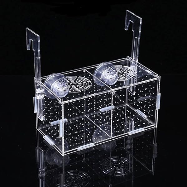 【送料無料】Bilaida （新しいパッキング ）魚 繁殖隔離ボックス 水槽 孵化 産卵箱 魚の隔離 ...