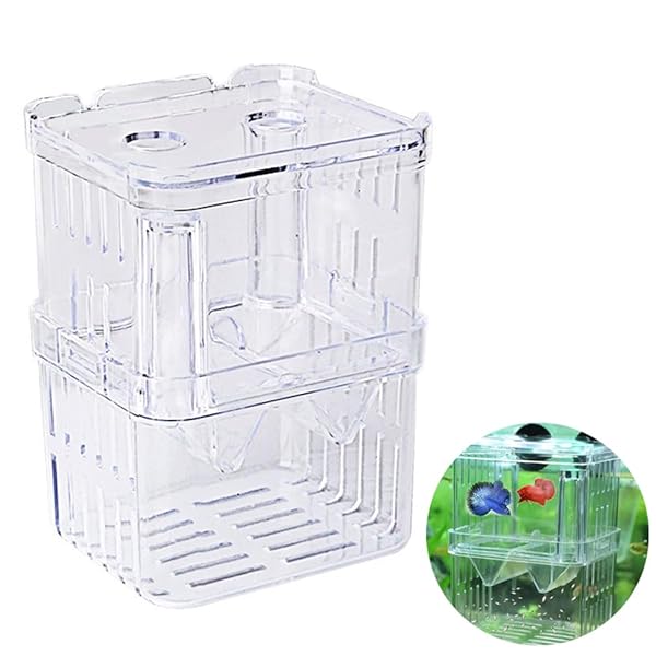【送料無料】隔離ケース 産卵ケース 繁殖隔離ボックス 魚 繁殖隔離飼養ボックス 産卵 孵化 水槽 隔離 水族館アクセサリー 飼育保護