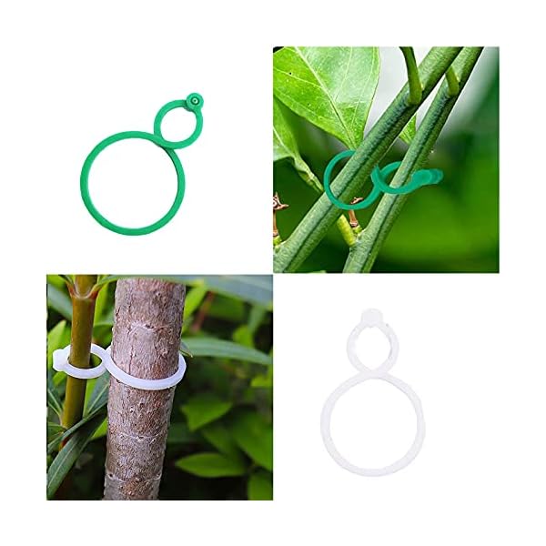 ������̵�������ο�ʪ���ݡ��ȥ�󥰡� 200�Ĥο�ʪ���ݡ��ȥ�󥰡��ԤΥ��ݡ��Ȥޤ��Ͽ�