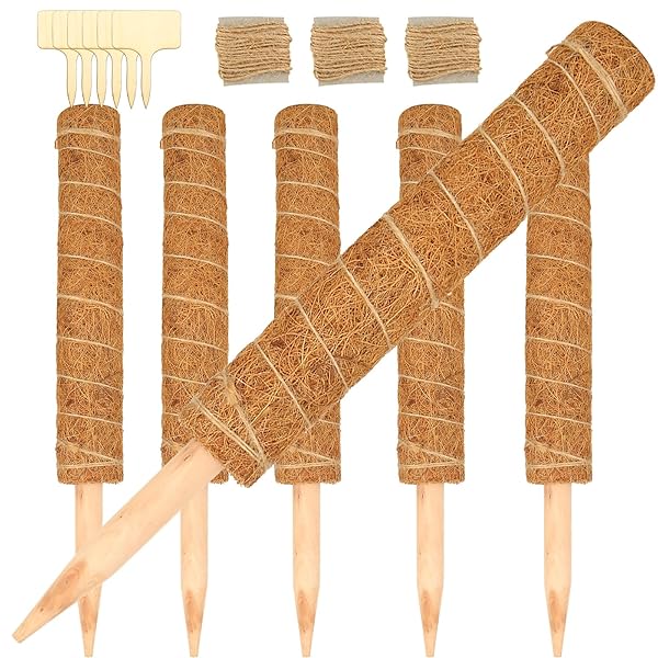 【送料無料】6本セット 園芸支柱 40cm モンステラ 支柱 ヘゴ支柱 植物支柱 花支え ココナッツ