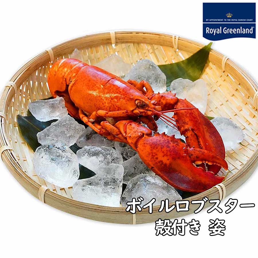 おとなの週末掲載商品 ロブスター オマール海老 ボイル済 海老エビ 海産物 海鮮 食べ物 ご家庭用 ギフト お取り寄せ グルメ 冷凍 お歳暮 お中元 送料無料 BBQ 海鮮 バーベキュー 敬老の日 海鮮 ギフト敬老の日父の日