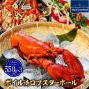 ロブスター オマール海老 ボイル済 550g×3 海老 エビ 海産物 海鮮 洋食 和食 中華料理 特大 ボイル ロブスター オマール海老 オマールエビ えび オマールえび お取り寄せ 特大 お歳暮 お中元 敬老の日 海鮮