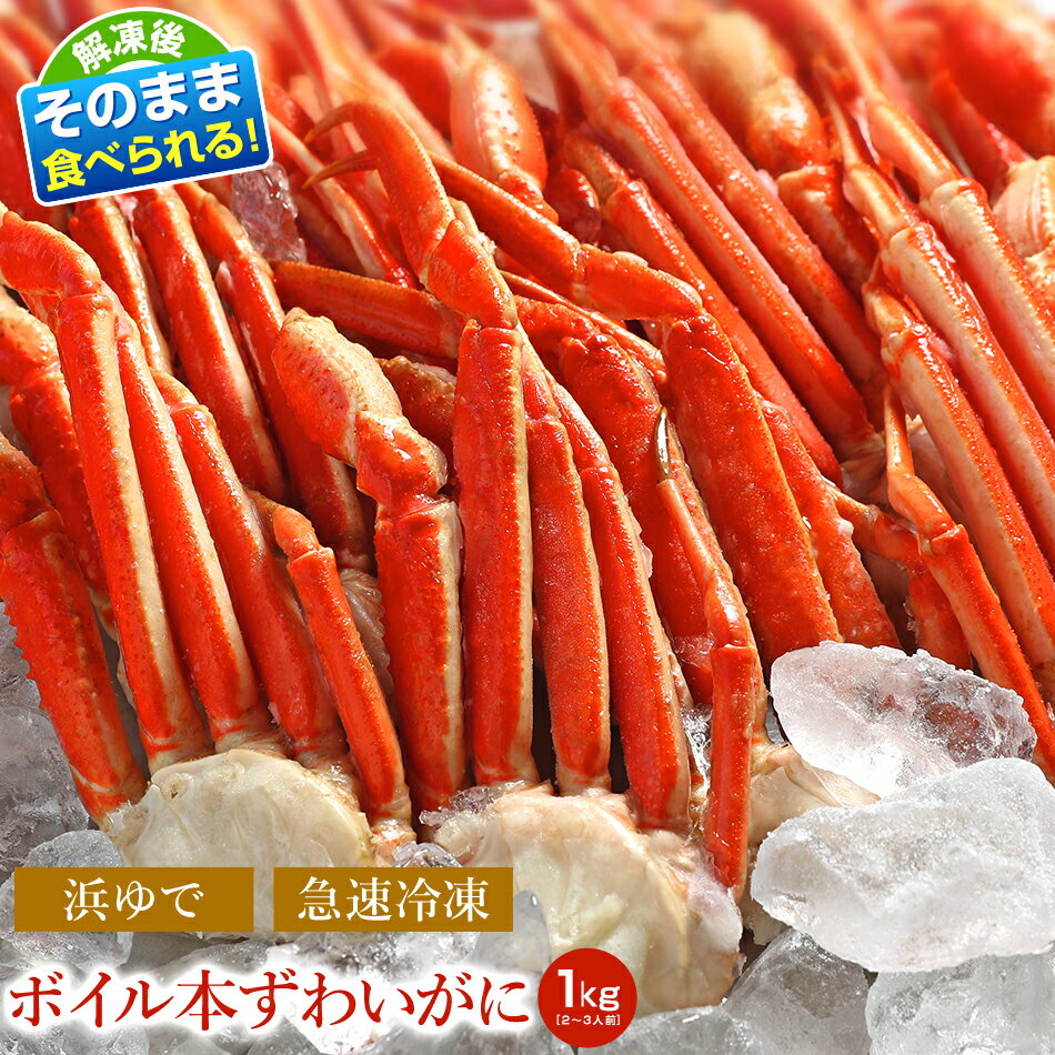 【複数購入でお得なクーポン配布中】本ずわいがに ズワイガニ 脚[ 1kg : 約2-3人前 ] 蟹 かに カニ当店人気 カニしゃぶ カニ鍋 カニ かに 蟹 ズワイガニ 5kg 訳あり カニ カニ爪 ボイル 送料無料 かに鍋 カニ鍋 ズワイ ズワイ蟹予約受付状況　おせち　通販