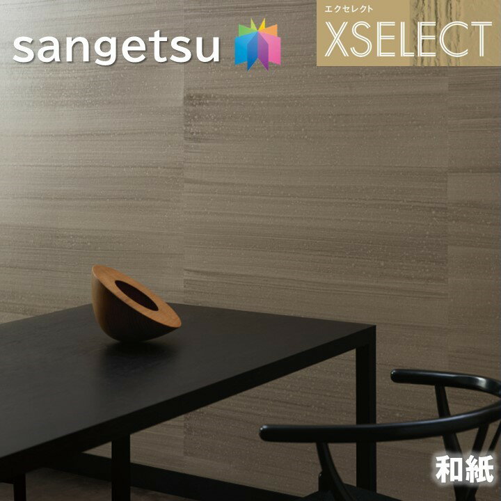 ɻ 󥲥 Τʤɻ 쥯 » SGB2034 ͤμŻ XSELECT 2021-2024 饯 ǥ ɻ ǥ͡ 